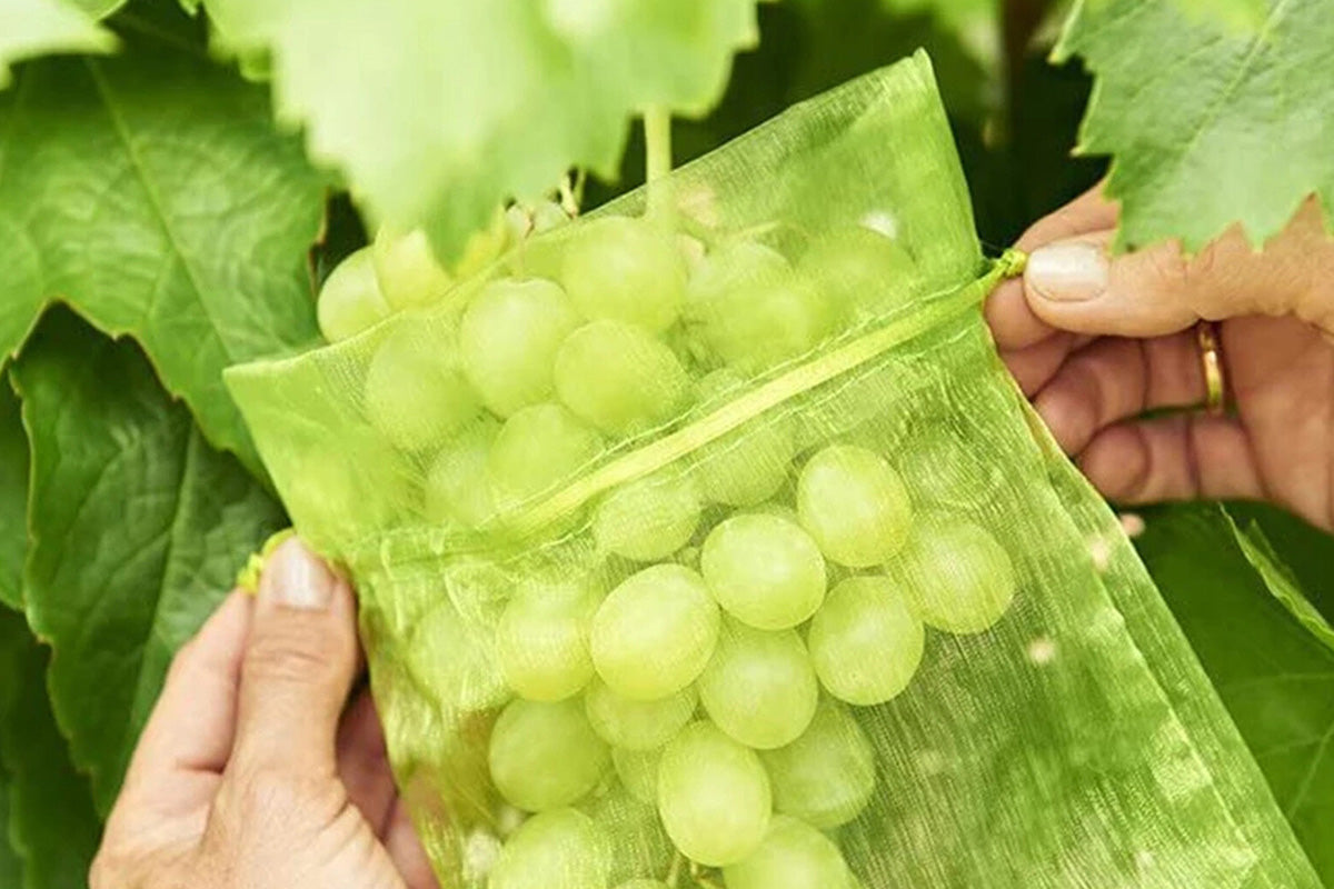 50PCS Fruit Protection Bags Green Fruit Nets Drawstring Mesh Cover Bags For Vegetable Protection