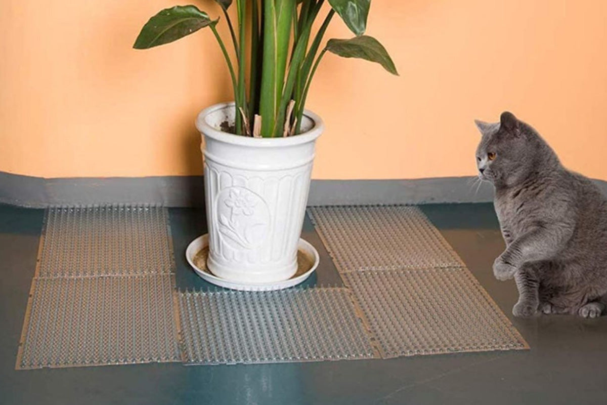 10PCS Cat Spike Mats Pet Training Mat Device Cat Deterrent Mat Set For Indoor And Outdoor