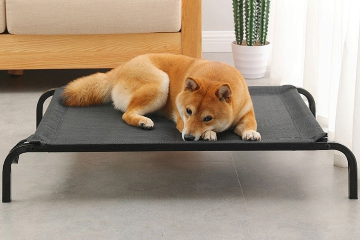 Heavy Duty Pet Raised Bed Elevated Trampoline Pet Bed Dog Mesh Hammock
