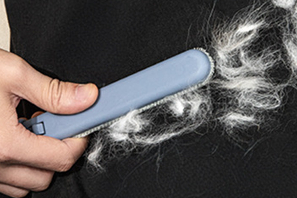 Pet Hair Remover Reusable Brush for Sofa Bed Carpet