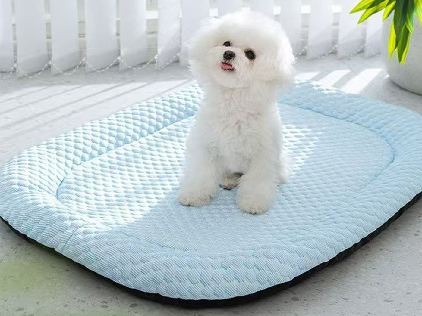 Pets Bolster Cooling Dog Bed Summer Cat Bed Pad Pet Mat Pet Sleeping Pad