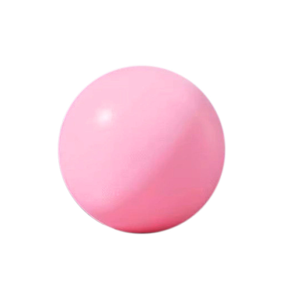 9 Inch Pilates Ball Mini Yoga Ball for Pelvic Floor Exercise Stability Ball for Home Office