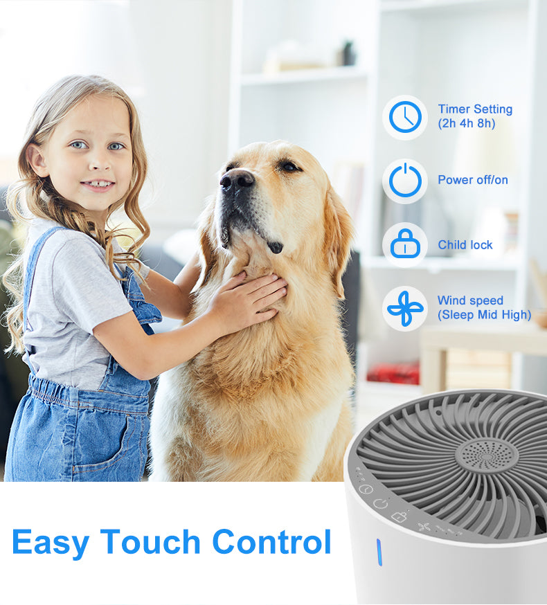 HEPA Air Purifier for Home