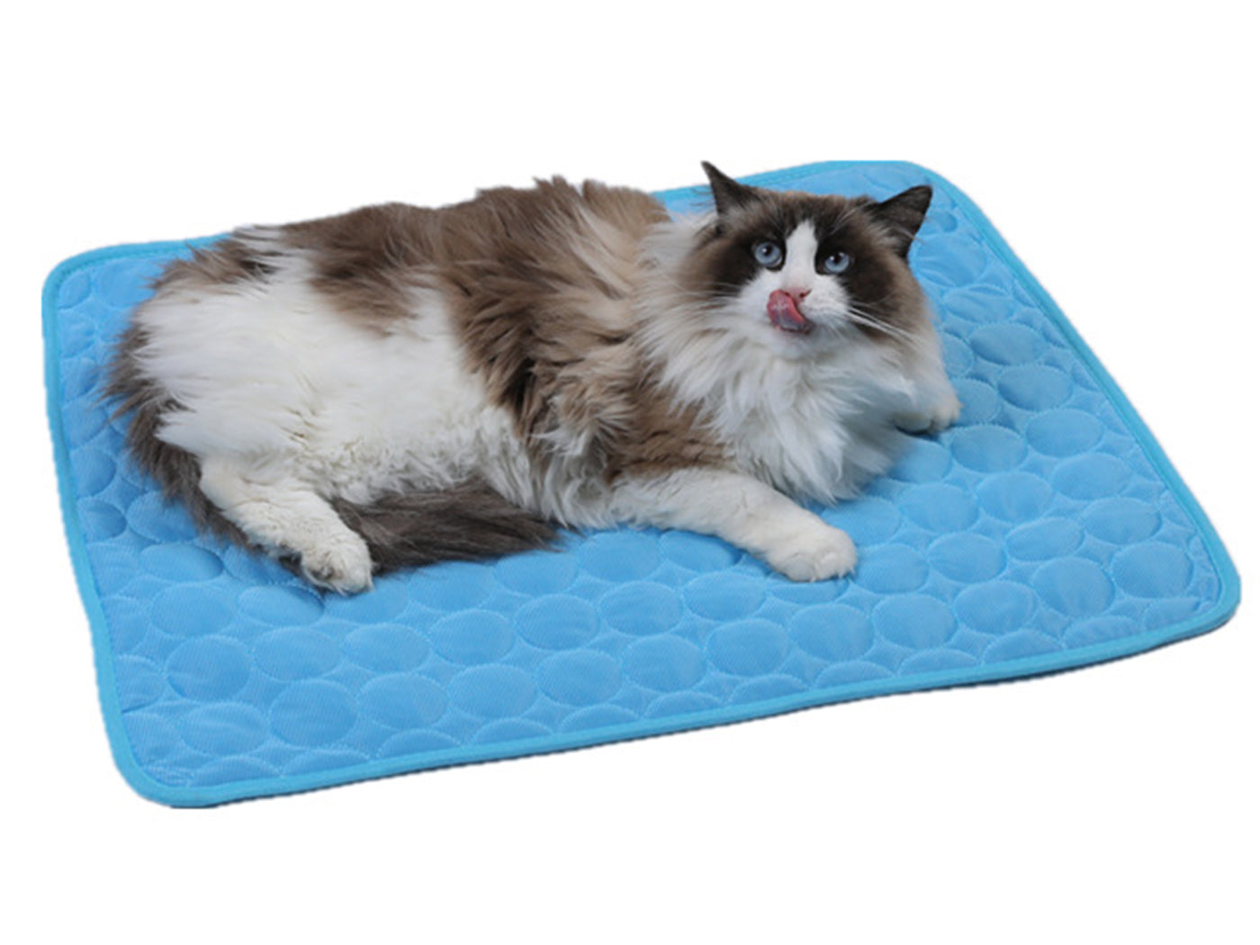 Pet Summer Cooling Mat Cooling Fabric Pet Bed Pad