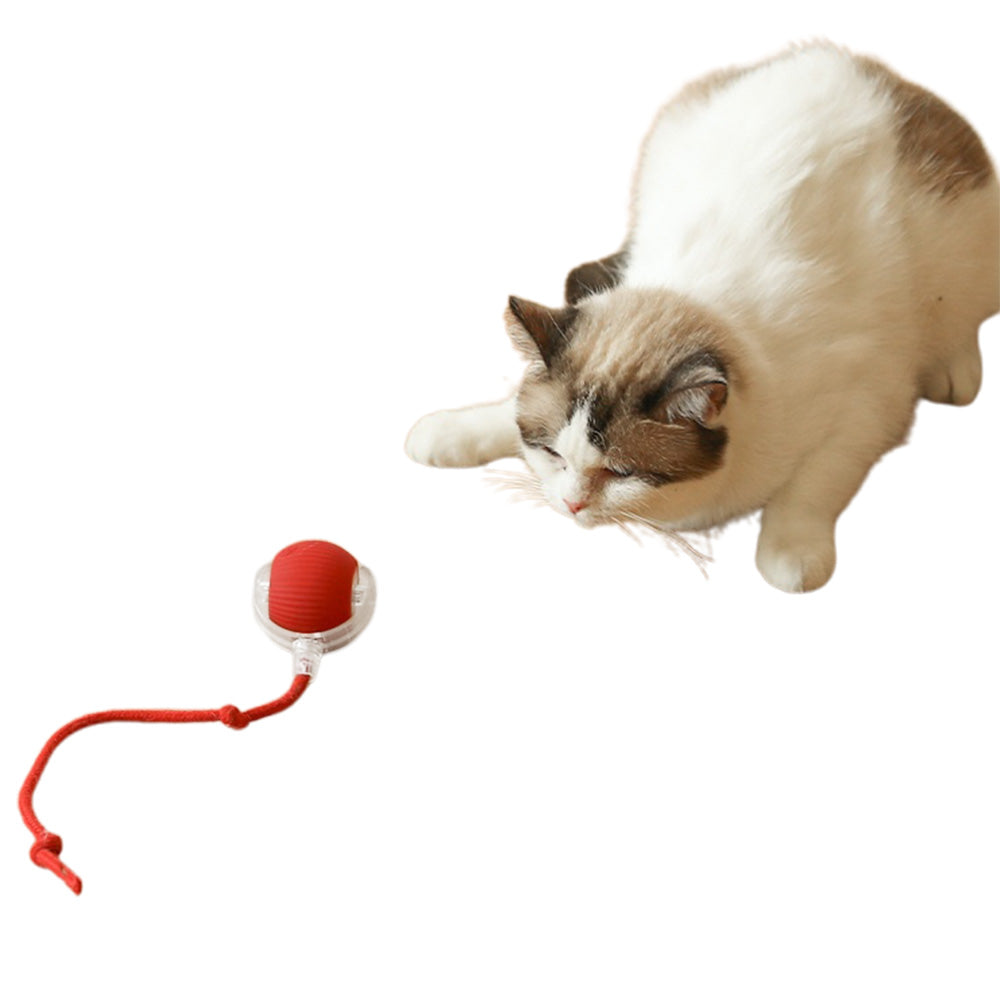 Interactive Cat Rolling Ball Automatic Cat Toy Electric Cat Toy Ball Fast Rolling On Toys