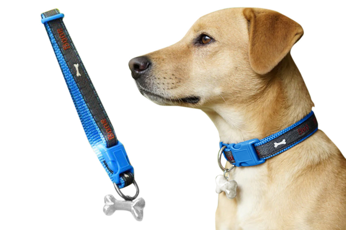Adjustable Dog Collar with Bone Pendant Nylon Puppy Collar for Small Dogs