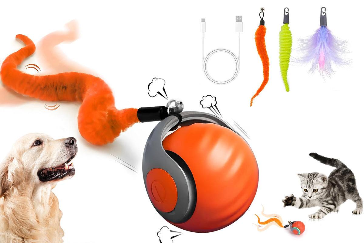 Interactive Cat Toy Ball Automatic Interactive Cat Toys Indoor with 3 Tails