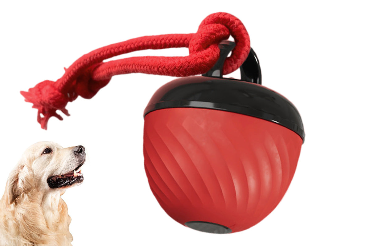 Squeaky Dog Toy Active Rolling Ball Interactive Dog Toys With Motion Activated