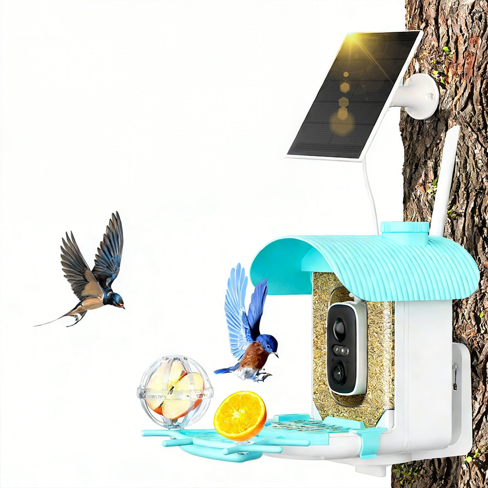 Smart Bird Feeder with Camera AI Identify 10000+ Birds Solar Powered Outdoor Live View for Bird Lovers
