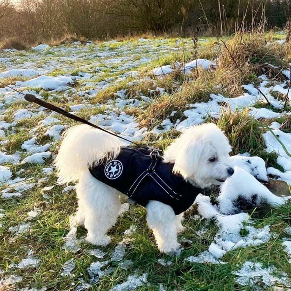 Waterproof Warm Winter Dog Harness Coat-Blue