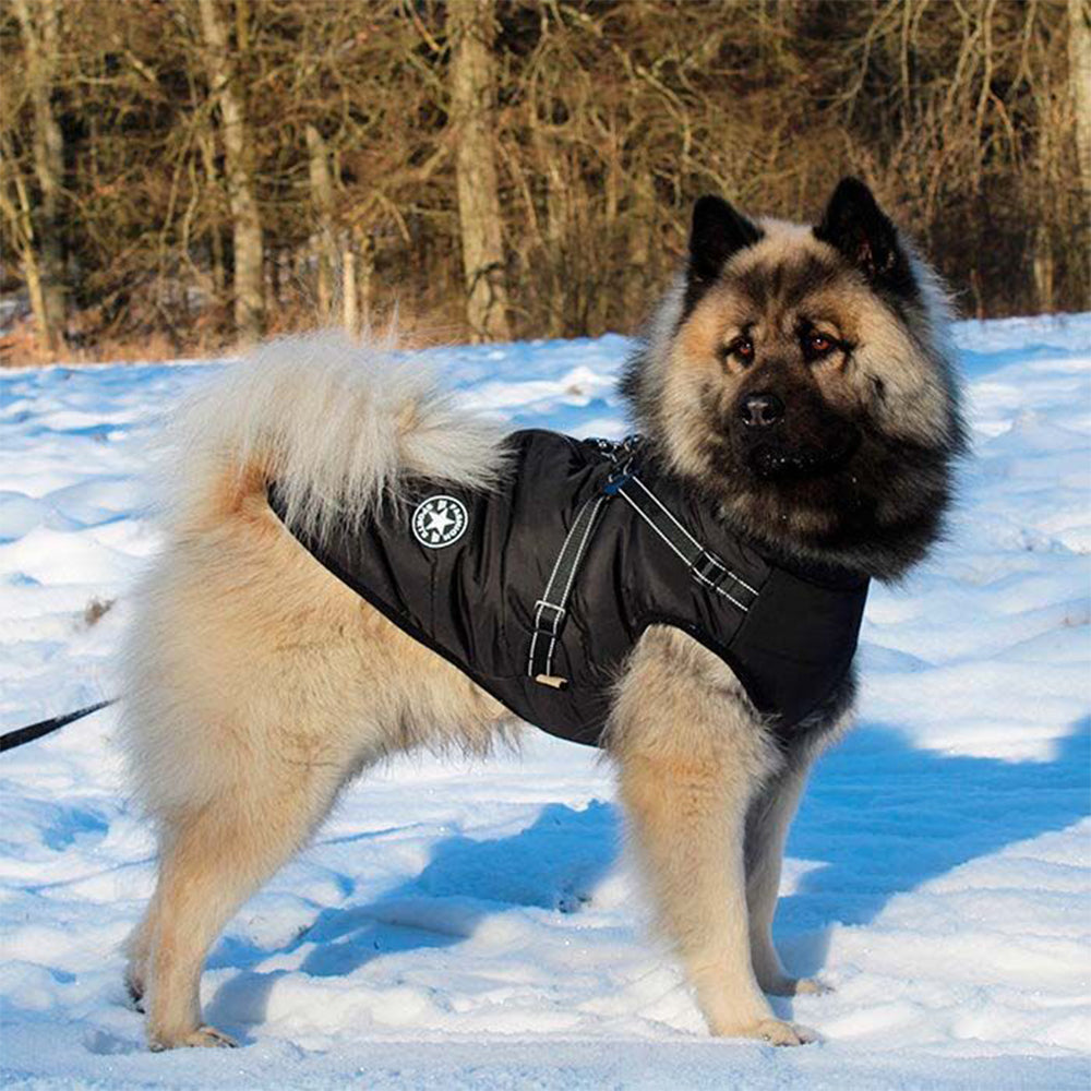 Waterproof Warm Winter Dog Harness Coat-Black