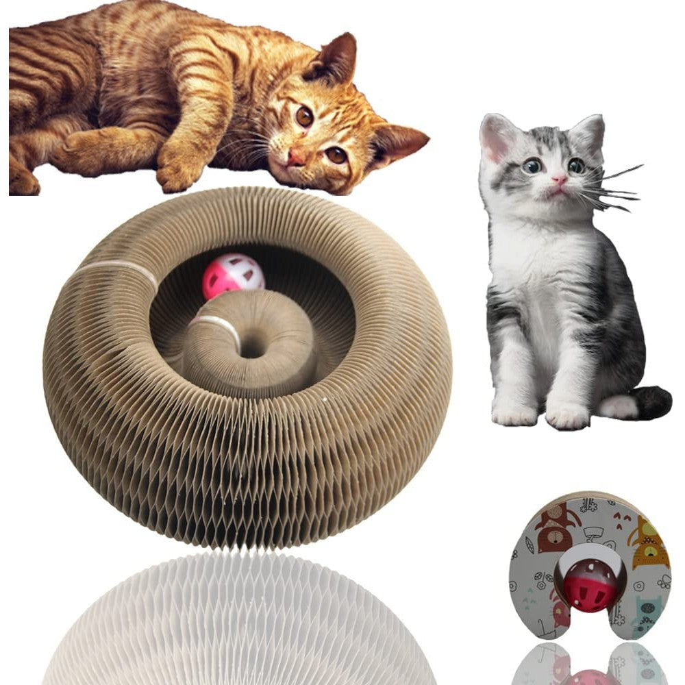 Magic Organ Cat Scratching Board with Toy Bell