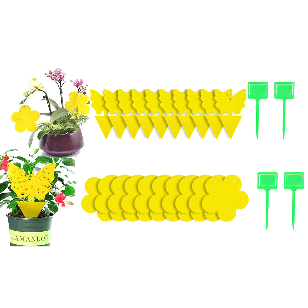 20Pcs Flower Sticky Trap Insect Killer & 4Pcs Holder