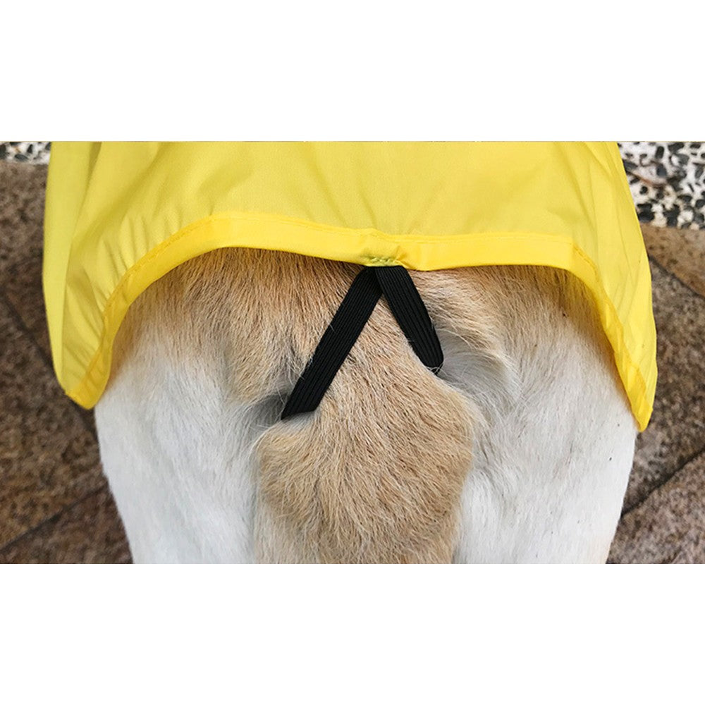Dog Raincoat with Hat