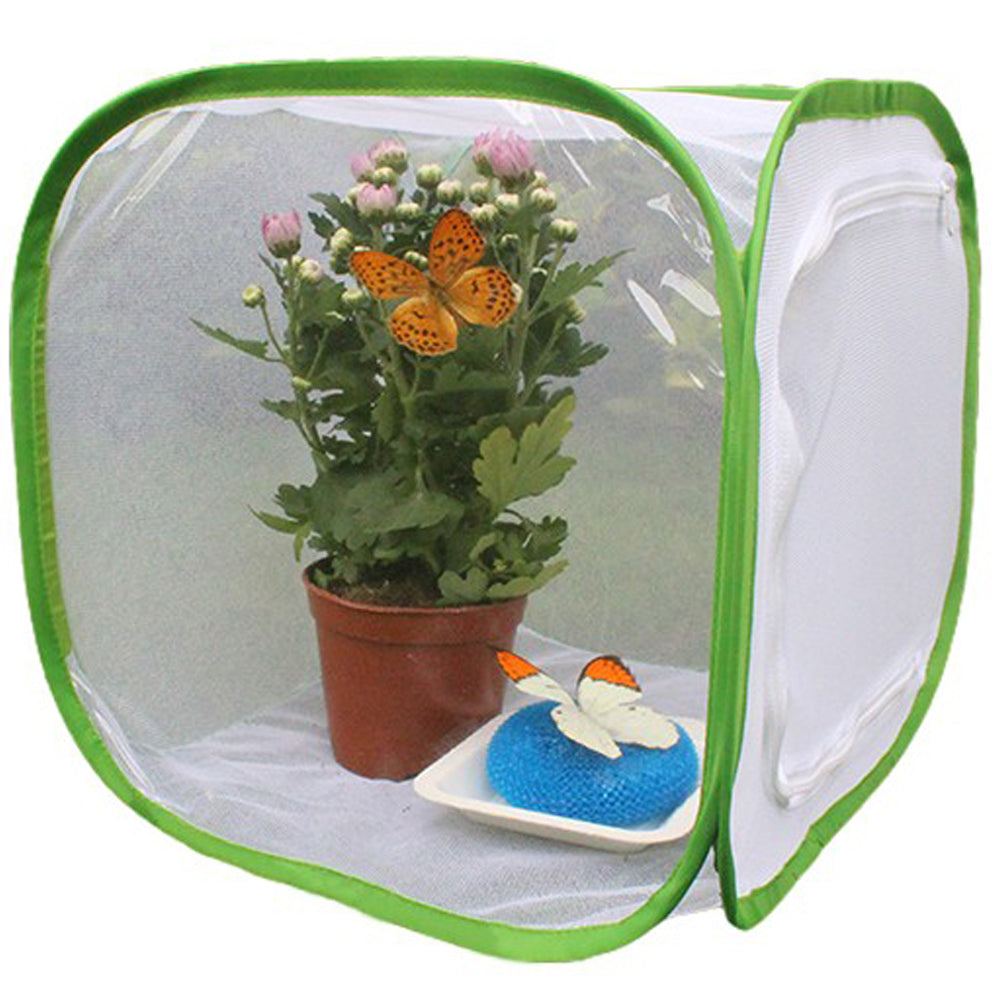 Folding Insect Cage