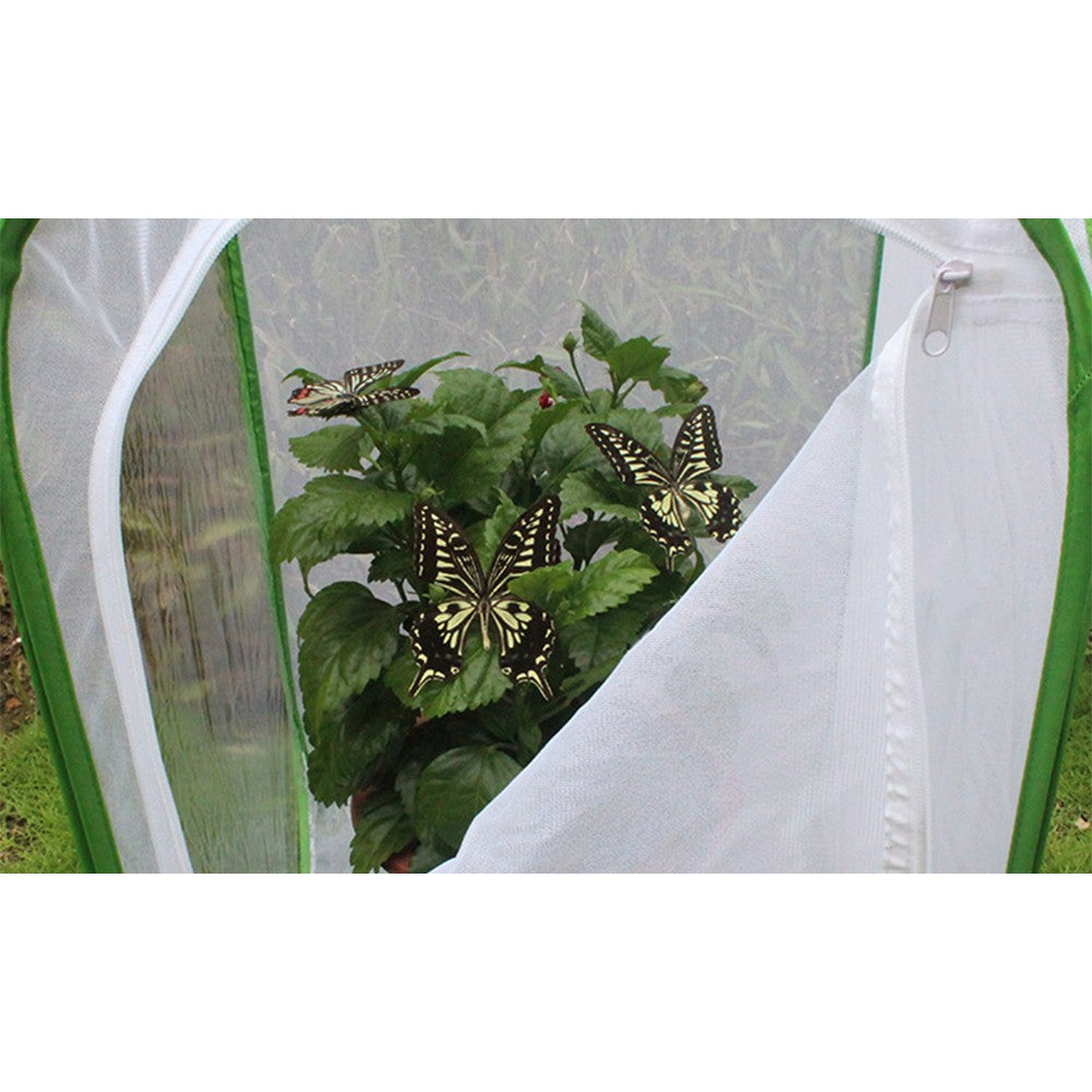 Folding Insect Cage