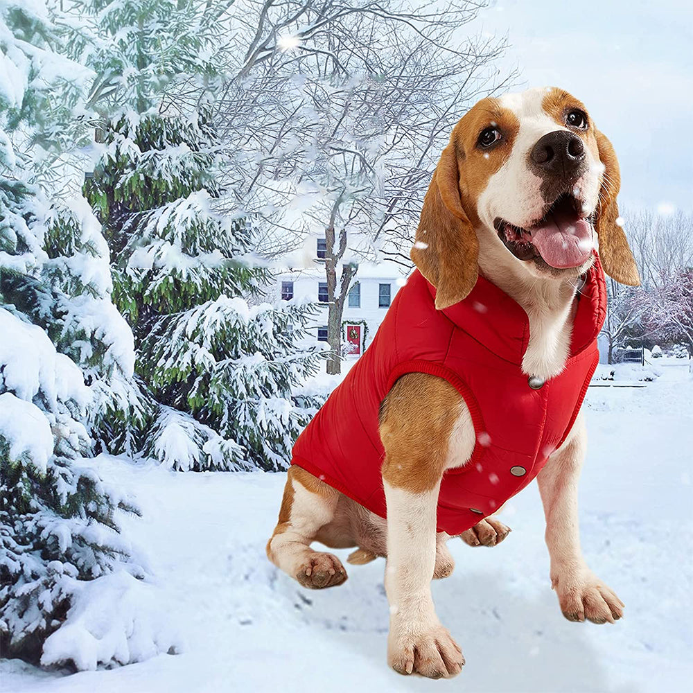 Pet Winter Clothes-Red