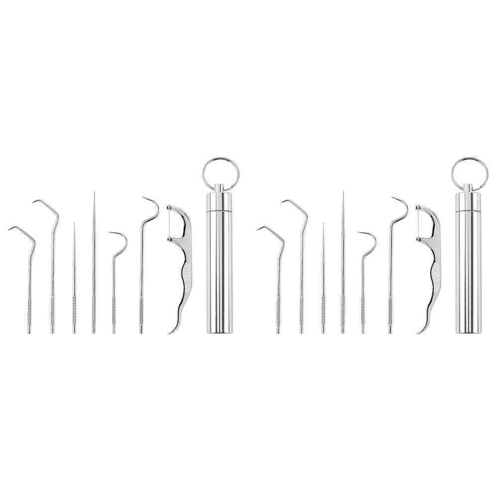 7-Piece Stainless Steel Toothpick Set