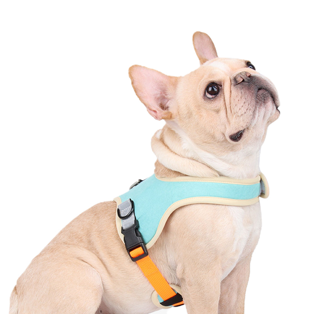 Pet Harness Reflective Vest Dog Walking Jacket Pet Lead Leash Vest for Cat Puppy