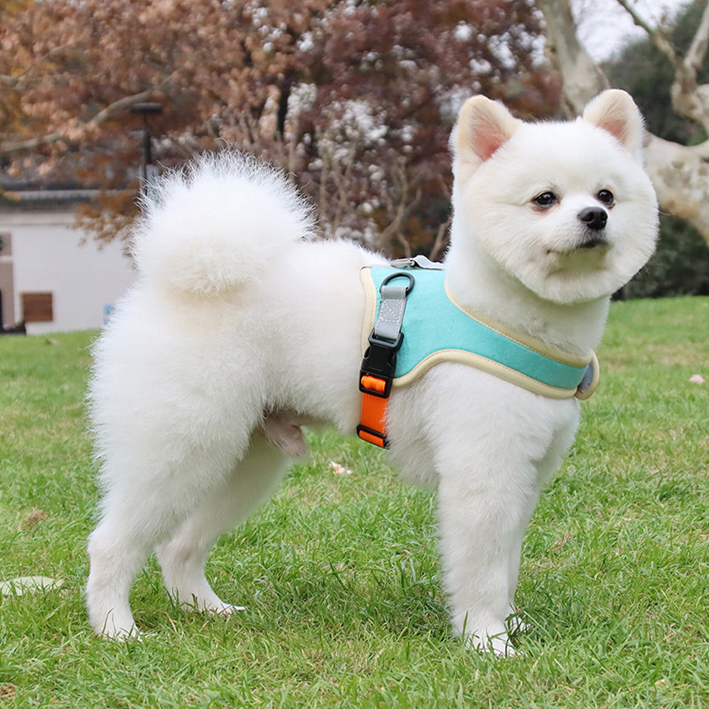 Pet Harness Reflective Vest Dog Walking Jacket Pet Lead Leash Vest for Cat Puppy
