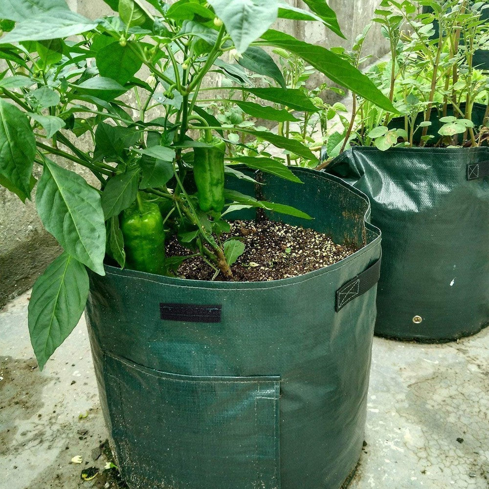 2-Pack 50L Potato Planter Bag