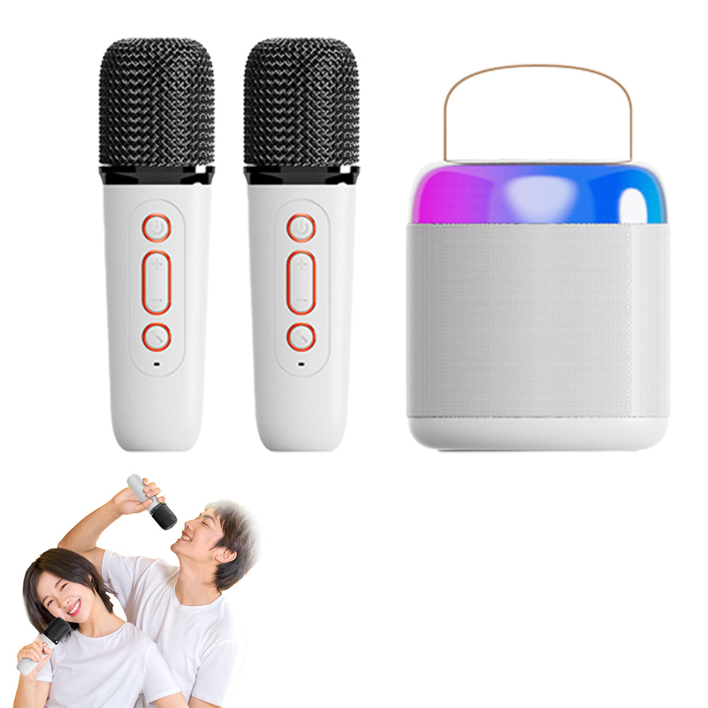 Dual Microphones Portable Mini Karaoke Machine with 2 Wireless Microphones
