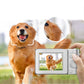 4K Digital Camera Screen Video for Photography with 32GB Memory Card