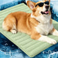 Scratch Resistant Summer Cooling Mat for Pet