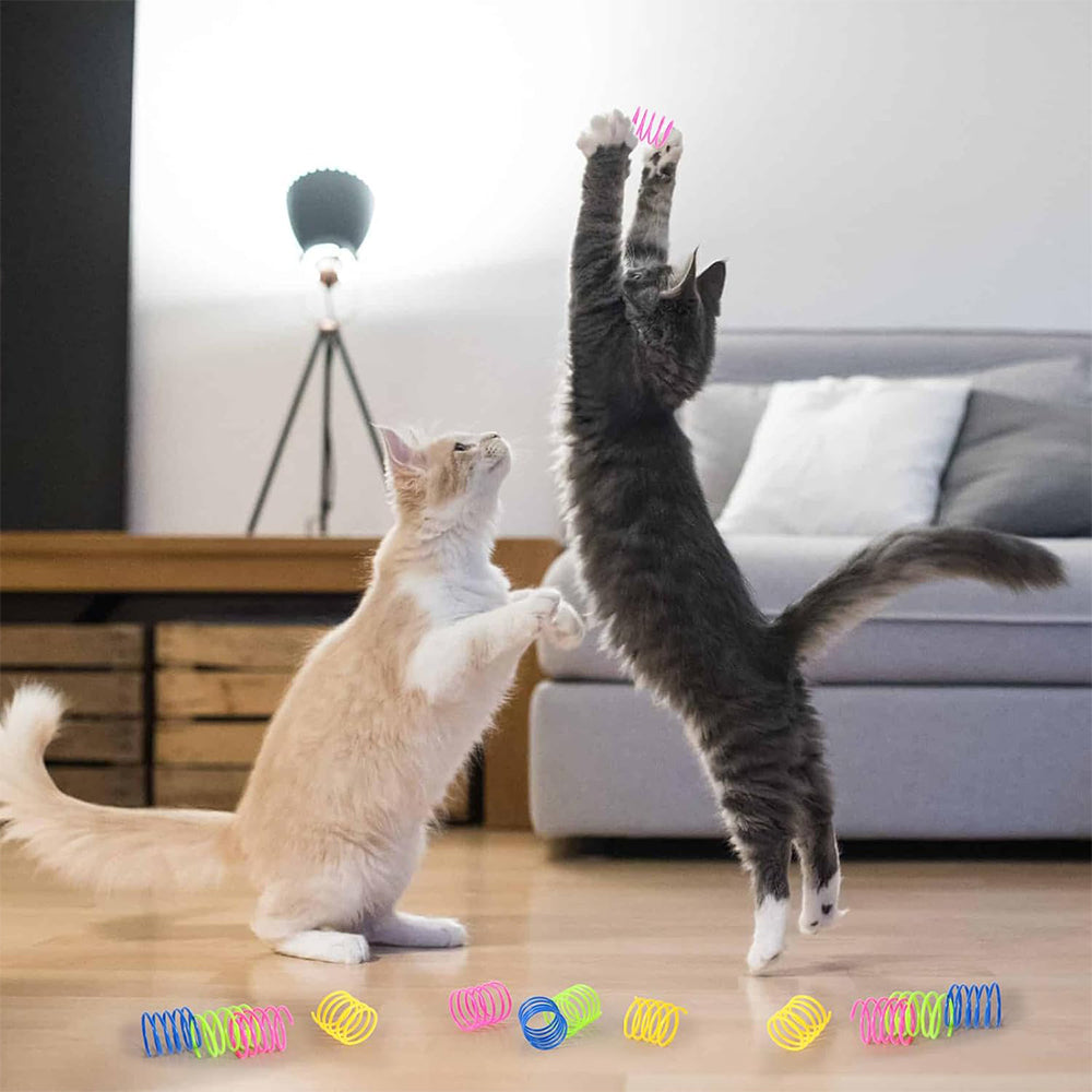 40Pcs Cat Kitten Spring Bouncy Toy Plastic Training Toys Colorful Coil Teasing Playing Cat Toy