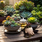 2Pcs Smiley Face Resin Rocking Chair Pot for Indoor Outdoor Plants