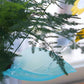 9Pcs Plant Pot Watering Funnel Color Leaf Plant Watering Devices Watering Spikes Plant Leaf Shape
