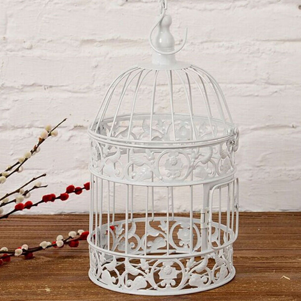 Iron Wire Birdcage Shape Succulent Plant Pot Hanging Frame