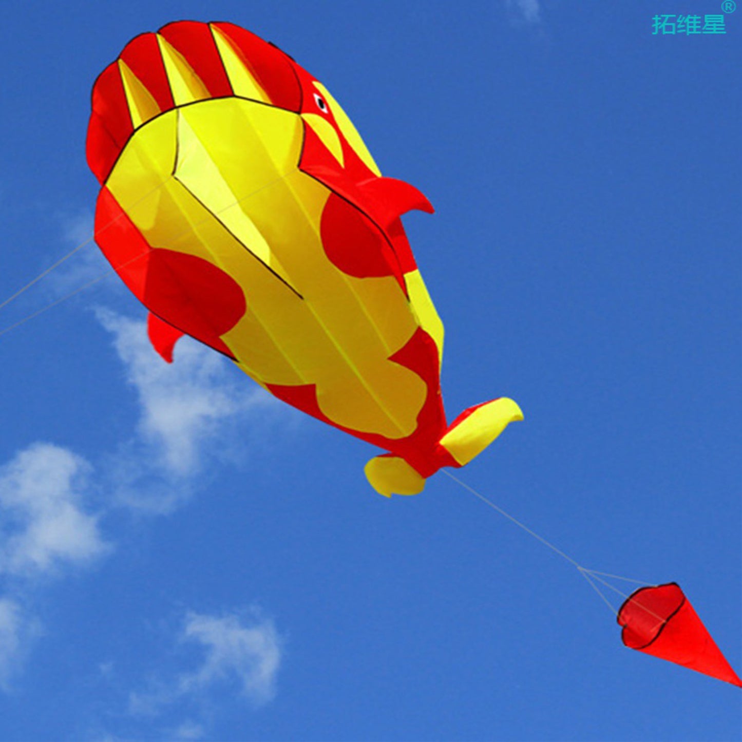 3D Soft Killer Whale Frameless Flying Kite Outdoor Sports Toy
