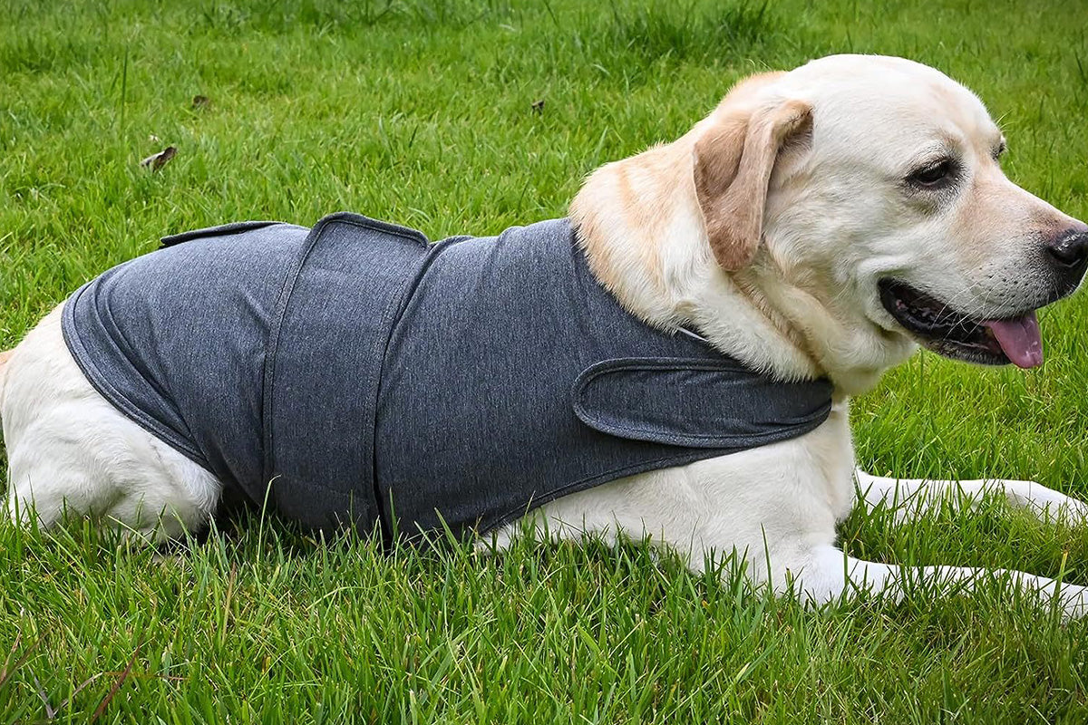 Anxiety Relief Vest for Dogs Adjustable Calming Wrap for Thunderstorms Travel