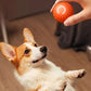 Pet Rolling Jumping Bouncing Ball Automatic Rolling Ball Toys