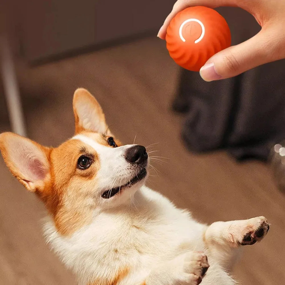 Pet Rolling Jumping Bouncing Ball Automatic Rolling Ball Toys