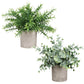 3Pcs Mini Potted Artificial Plastic Green Plants