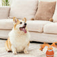 Motion Activated Interactive Dog Ball Toy