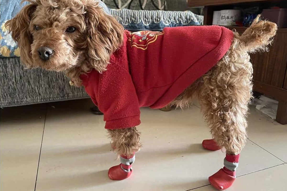 Waterproof Anti Slip Pet Shoes with Rubber Sole for Indoor and Outdoor Use-Red