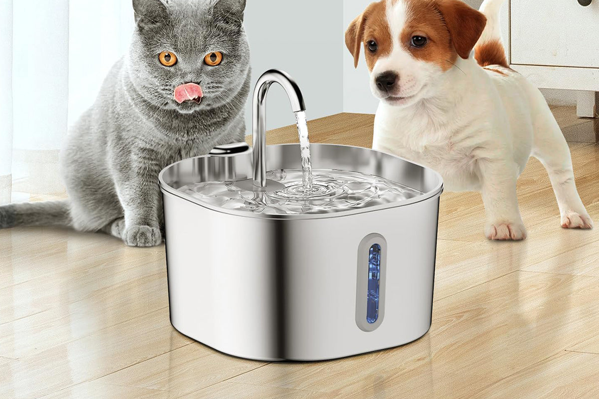 Automatic Pet Water Fountain USB 2.2L Stainless Steel for Cats and Small Animals