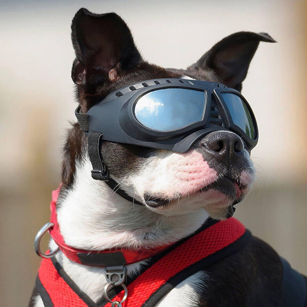 Dog Goggles Dog Sunglasses for Small Dogs with Storage Case