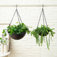 Set of 2 Iron Hanging Planter Pots