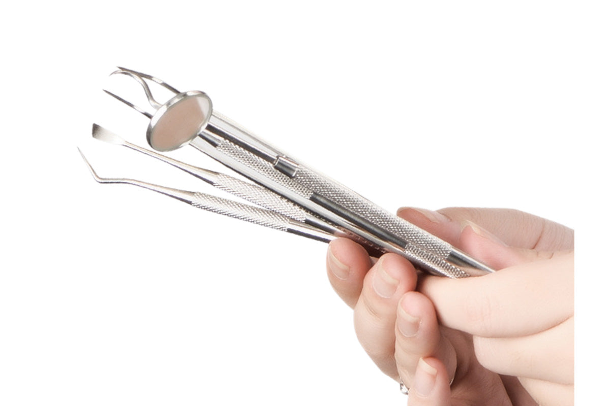 Professional Dental Tool Kit 6 Piece Stainless Steel Oral Care Set