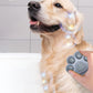 Electric Spray Cat Brush Pet Massage Comb with UV Light