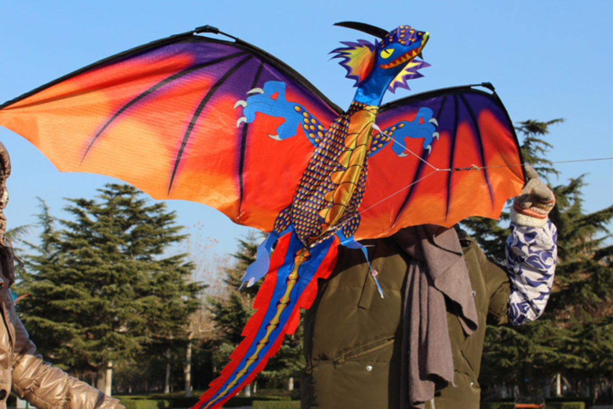 2X Outdoor Colorful 3D Dragon Flying Kite with 100m Tail Line 1.4m