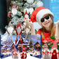 24 Days Christmas Countdown Calendar with Gnome Dolls