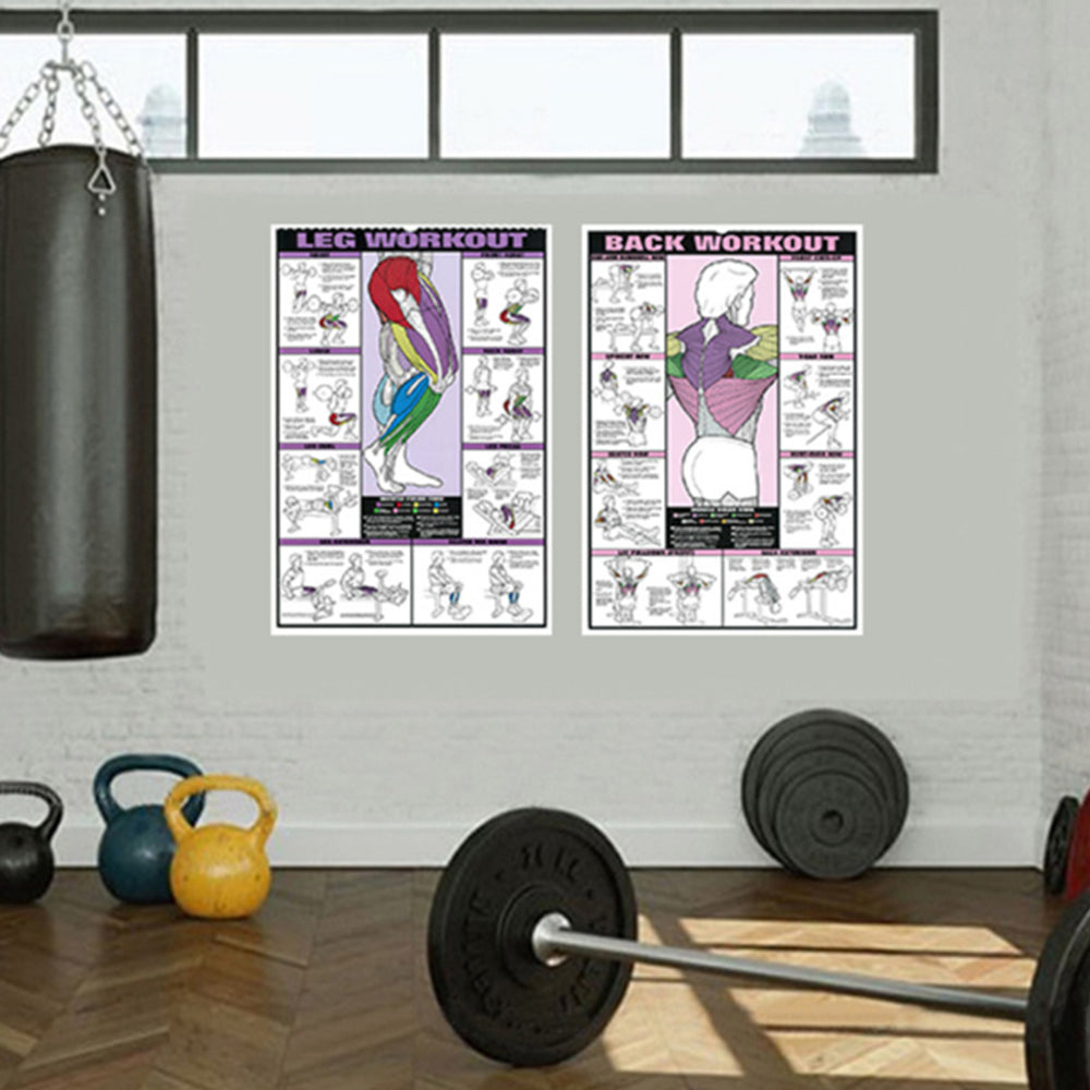 Gym Workout Muscle Poster