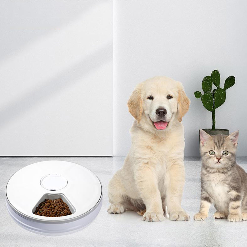 6 Meals Automatic Pet Feeder with Timer