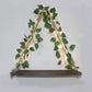 2Pcs Artificial Ivy LED Strip Wall Hanging Shelves Macrame Shelf for Bedroom