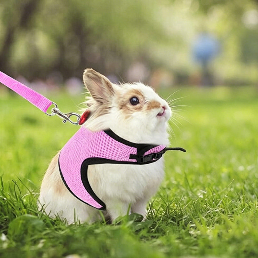 Rabbit Harness and Leash Set Adjustable Breathable Mesh Vest for Bunny Small Pets-Pink